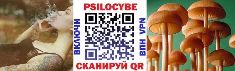 купить наркотики сайты  Ахтырский  Галлюциногенные грибы GOLDEN TEACHER 